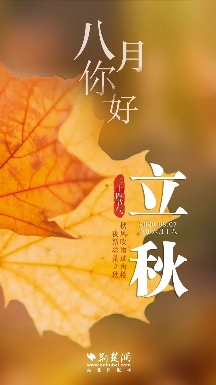 7月日历_日历月份英文缩写_日历月历