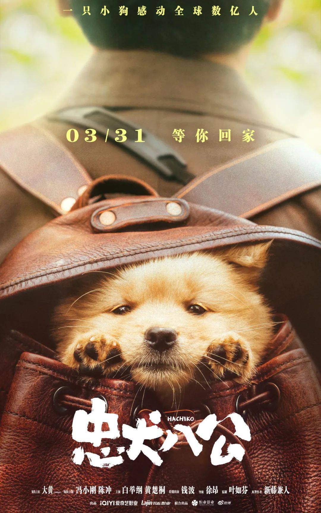 高清播放免费忠犬八公电视剧_高清播放免费忠犬八公电影_忠犬八公高清免费播放