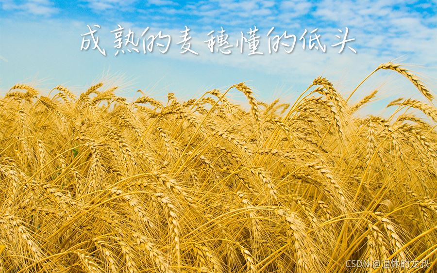 正则表达式语法大全_常用正则表达式语法大全_正则表达式定义的语言