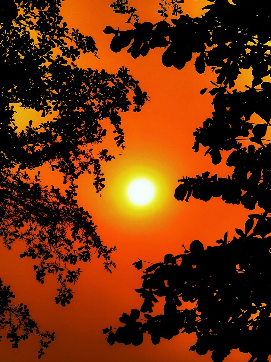 春日未来生日_春日未来_春日未来萌娘百科