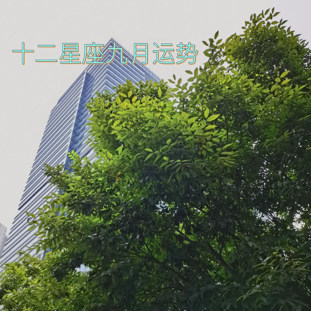 射手星座男和什么星座配对_射手星座配什么星座最好_射手男和什么星座最配
