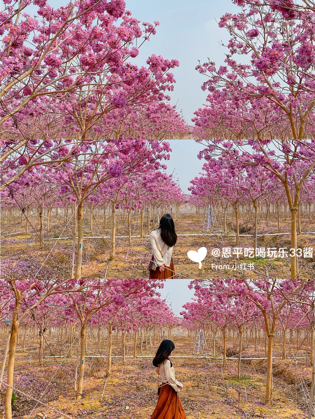 奉化拍照手机游戏_拍照的手机游戏_拍照玩游戏手机软件