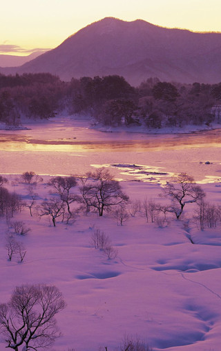 冰雪壁纸手机游戏图片_冰雪游戏手机壁纸_冰雪壁纸超清
