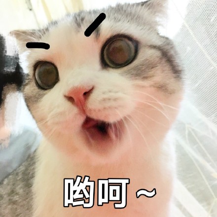 头晕是玩手机游戏导致的吗_打游戏玩手机眼睛模糊头晕_头晕还玩手机