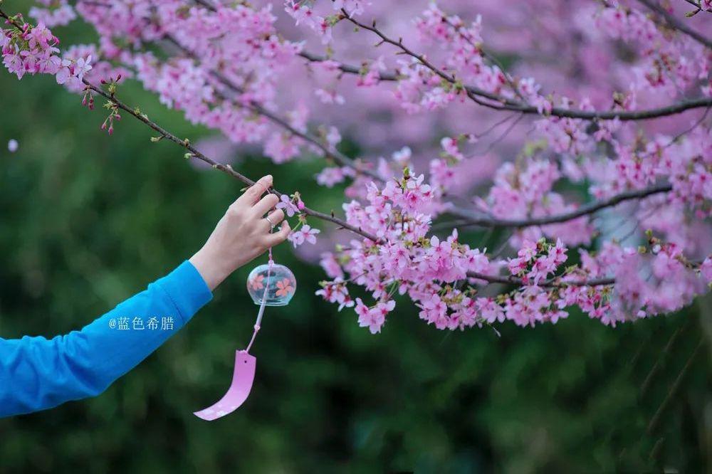 月清疏_月清疏_月清疏