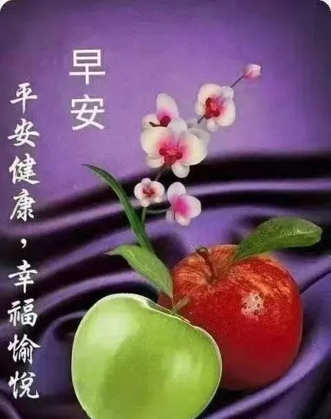 月清疏_月清疏_月清疏