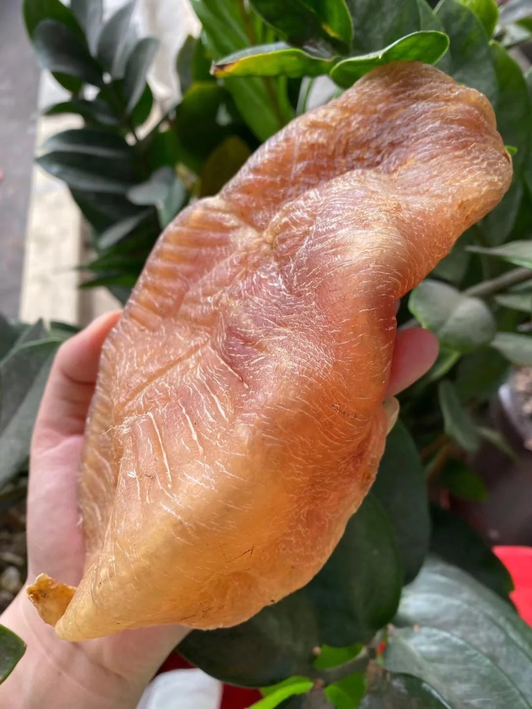 手机游戏推荐_手机游戏平台_littlewood游戏手机
