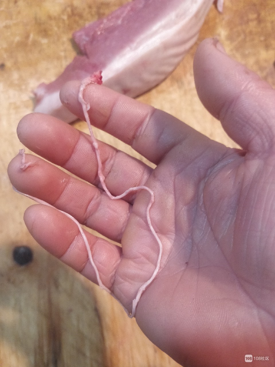 手机游戏小说_sq手机小游戏_手机游戏小时候