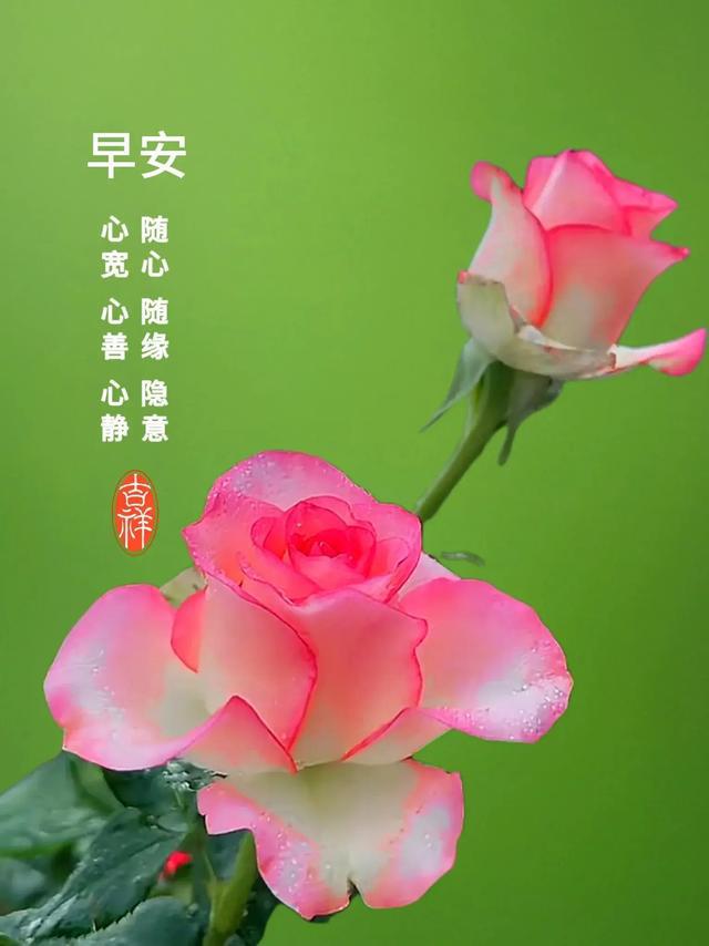 充电的手机游戏_充电游戏怎么玩_手机充电的游戏