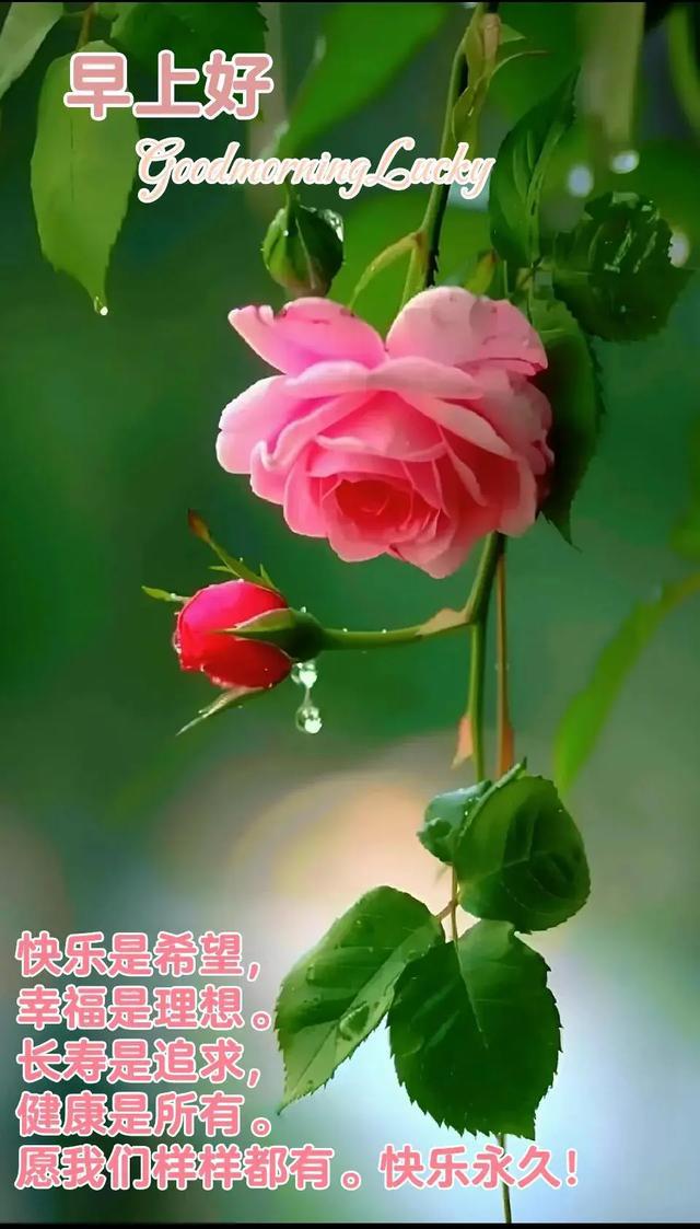 充电的手机游戏_手机充电的游戏_充电游戏怎么玩