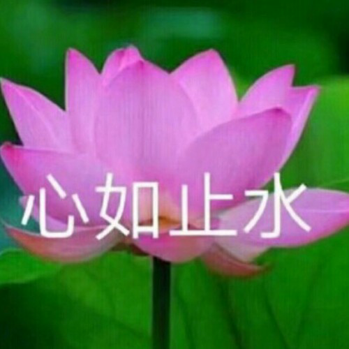 捏他弹幕_捏他弹幕app_捏它弹幕