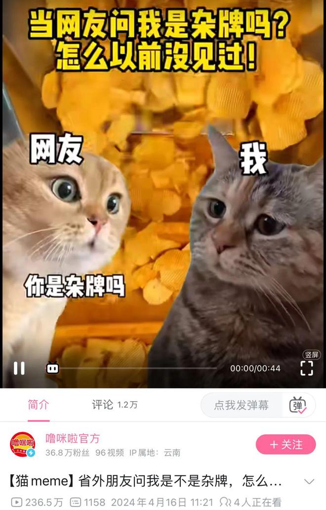 客服人工b站联系电话_2021年b站人工客服怎么找_b站人工客服怎么联系
