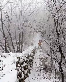 飘雪影视免费观看 