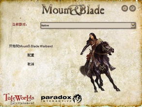 骑马与砍杀手机版 