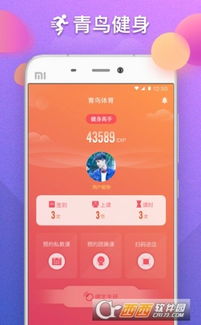 飞鸟下载器官网版 
