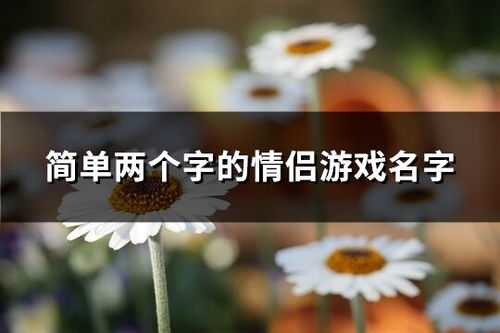 俩个字的情侣游戏名字,探寻俩字情侣游戏名字的独特魅力