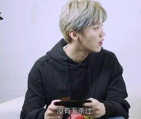 鹿晗最喜欢玩什么游戏,揭秘他最爱的游戏之谜
